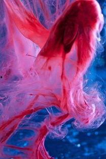 水中血,揭秘海洋生物中的神秘血液之谜